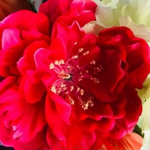 Meet your Posher, Latavia